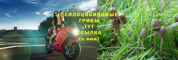 первитин Абаза