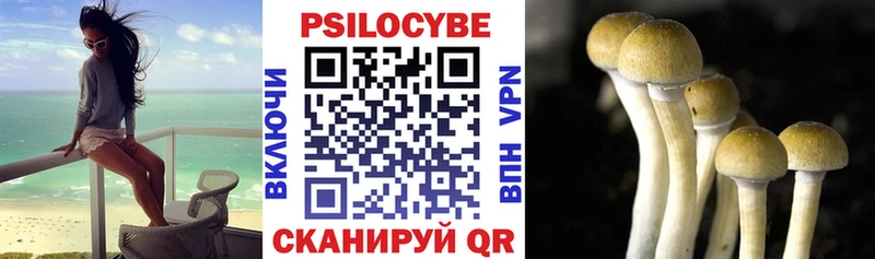 Галлюциногенные грибы GOLDEN TEACHER  Кораблино 